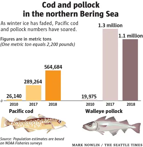 Image courtesy of The Seattle Times. United States, 2019.