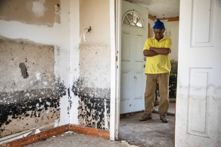 Sellers, South Carolina, Mayor Barbara Hopkins shows homes damaged by repeated flooding and hurricanes on February 13, 2020. While many homeowners across the small town have received help from FEMA and other natural disaster response agencies, those without a clear title for their home have been left with no government help in mold saturated homes. Image by Joshua Boucher. United States, 2020.