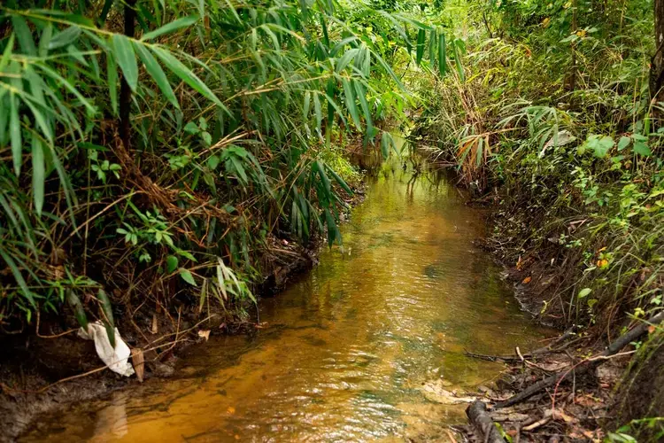 A drainage ditch that runs through Sellers, South Carolina, on Wednesday, August 5, 2020. Some residents of the small town blame the frequent flooding to poor drainage in the area. Image by Joshua Boucher. United States, 2020.