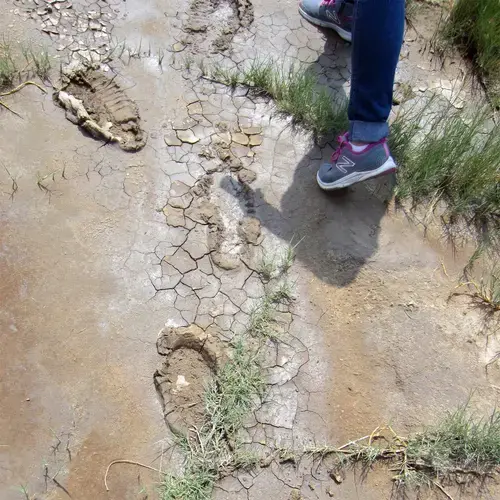 Footprints on the lakebed during the author’s visit. Image by Daniel Brook. Mexico, 2017.