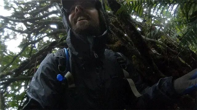 “Hiking” in Hanawi is an adventure in and of itself. Image by Nathan Eagle. United States, 2019.