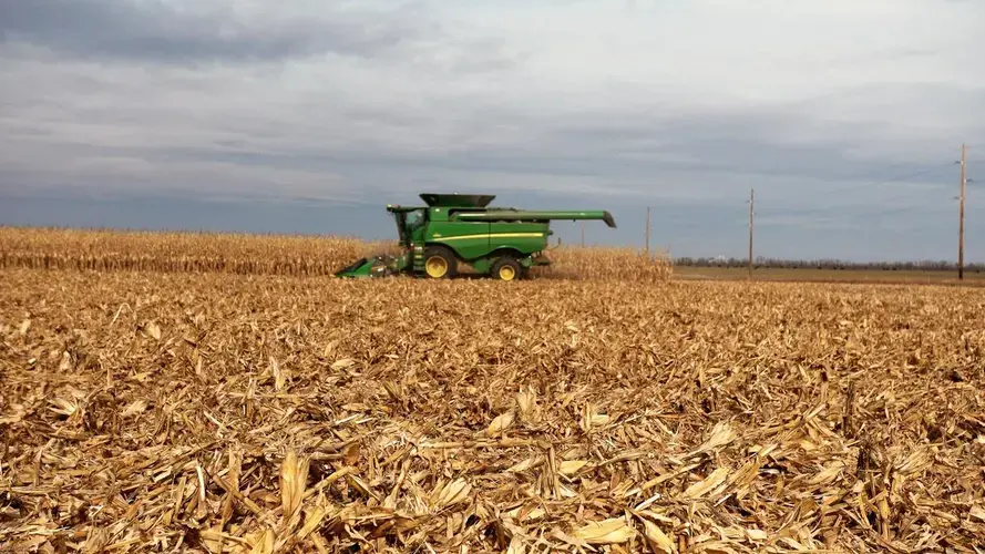 Farmer Paul Hetland says his 2019 harvest near Mt. Vernon, South Dakota, damaged his fields in ways that will require him to till this year, something he prefers not to do. Image by Brad Van Osdel / South Dakota Public Broadcasting. United States, 2020.