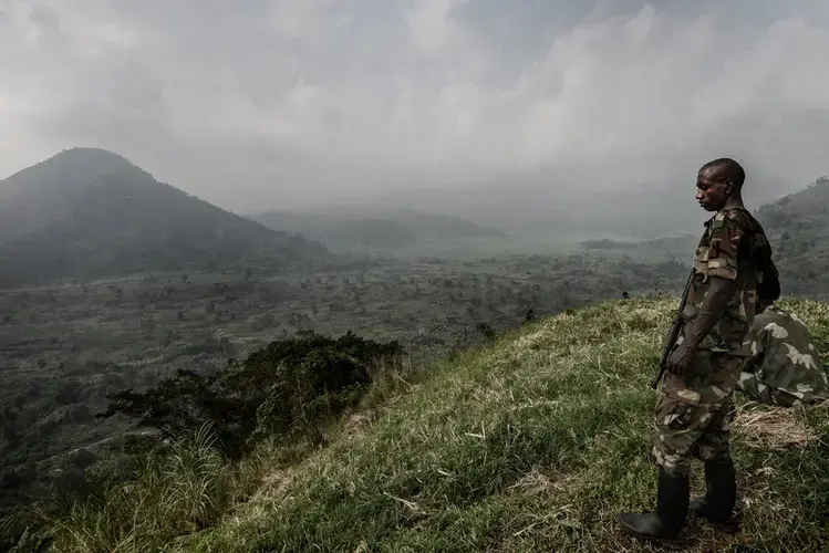 The ongoing conflict in the DRC makes people more vulnerable to konzo, because they often have no choice but to eat the more poisonous varieties of cassava. Image by Neil Brandvold. DRC, 2017.