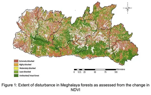 Half of the the state’s forests are “extremely disturbed” due to the impact of climate change, according to a study by scientists from the IISc-Bangalore. Graphic courtesy of Assessment of the Impact of Climate Change on Forests and Biodiversity of Meghalaya.