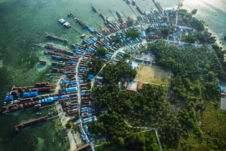 The mangrove forest on the island of Derawan in East Kalimantan has been almost entirely cleared to make way for hotels, homes, and coconut trees. Image by Ardiles Rante. Indonesia, 2019.