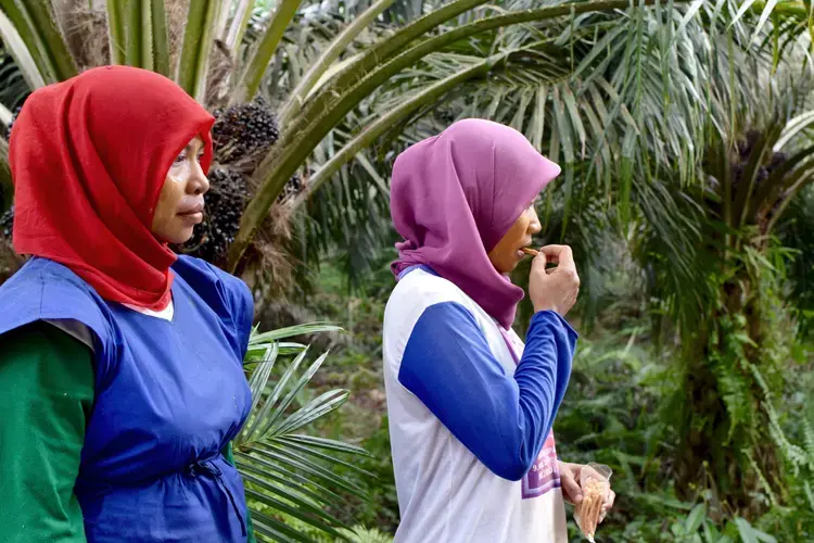 Workers in Riau take a break after spraying pesticides. Image by Wudan Yan. Indonesia, 2017.