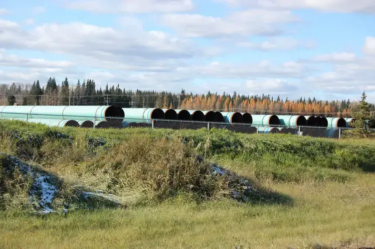 Image courtesy of Jillian Kestler-D’Amours and Megan O’Toole/ Al Jazeera. Canada, 2019.