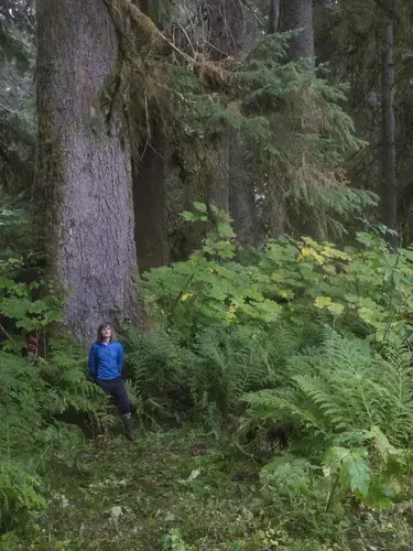 Commercial fisherman and forest activist, Elsa Sebastian, stands in an old growth forest grove on Prince of Wales Island in southeast Alaska. Image by Daniel Grossman. United States, 2019.