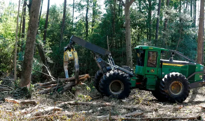 Trees cut down on a Wilson County farm are brought to a loading area Tuesday, Sept. 3, 2019. The cut trees are headed to the Enviva plant in Northampton County, N.C. Image by Ethan Hyman. United States, 2019.