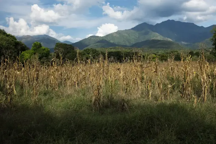 Pondores, Guajira, Colombia, September 2018. Image by Fabio Cuttica. Colombia, 2018.