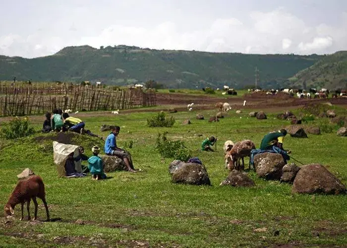 Image by Jonathan Rashad. Ethiopia.