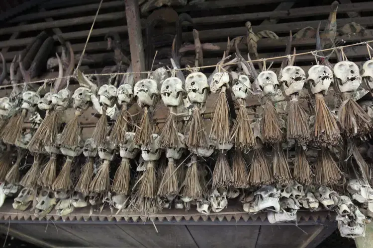 Monkey skulls hung in front of a traditional house uma in Madobag, South Siberut. Image by Febrianti. Indonesia, 2020.