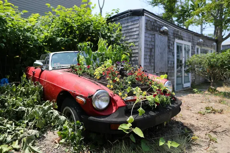 An old Alfa Romeo, flowers growing in its engine block, sat beside Julie Heller’s art studio, damaged in the 2018 storm. Image by John Tlumacki. United States, 2019.