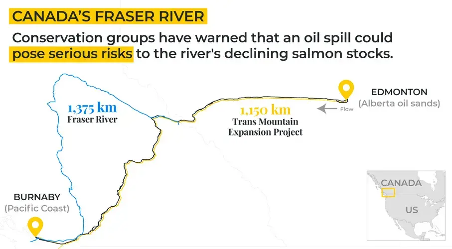 Graphic courtesy of Jillian Kestler-D’Amours and Megan O’Toole/ Al Jazeera. Canada, 2019.