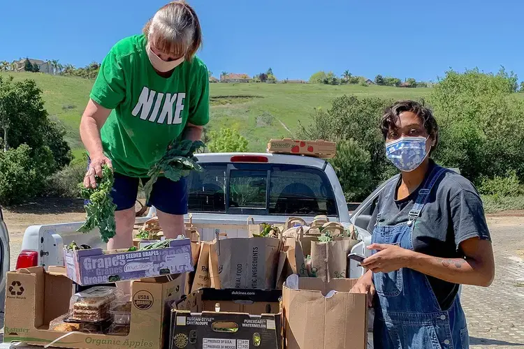 Lynn Metz and Artie Evans, who work for the Catholic aid organization Casa de Clara in San Jose, California, load a truck with food for homeless people on April 22. Monetary donations since the pandemic have afforded the organization the flexibility to buy food and other necessities. Image courtesy of Casa de Clara. United States, 2020.</p>
<p>