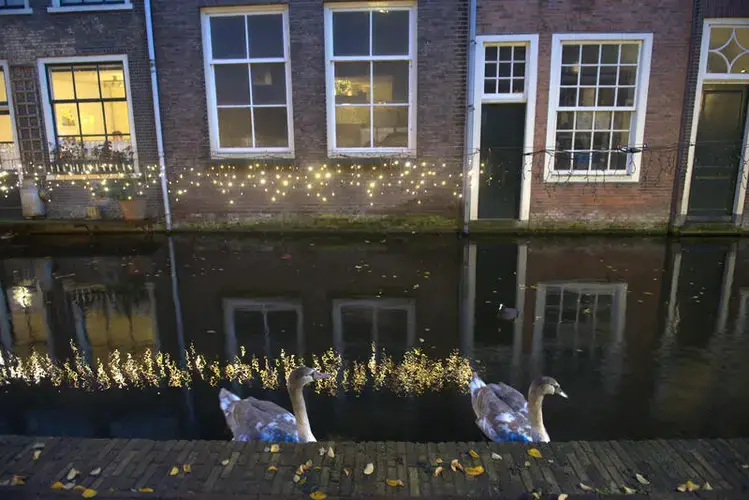 Geese float in a canal in Delft in the Netherlands. Photo by Chris Granger, The Times-Picayune | The New Orleans Advocate. Netherlands, undated.