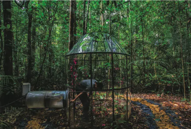 David Lapola makes adjustments inside the open-top chamber. Image by Dado Galdieri. Brazil, 2019.