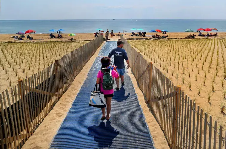 New native grasses have been planted in perfect rows like crops along Herring Cove Beach. Image by John Tlumacki. United States, 2019.