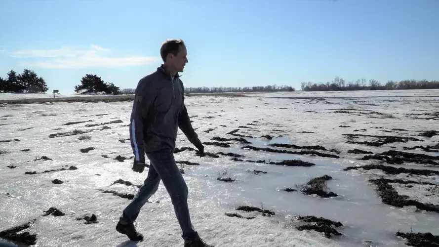 Fluctuations in the freeze-thaw cycle and the timing of snow and rain contribute to the challenges on Hetland’s fields. Image by Brad Van Osdel / South Dakota Public Broadcasting. United States, 2020.