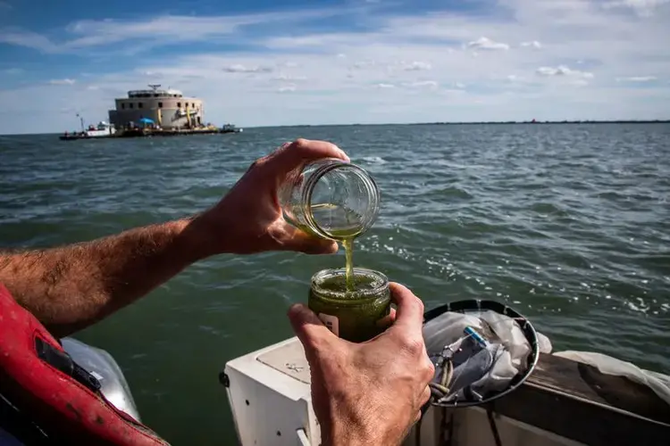 Ed Verhamme, a coastal engineer with environmental engineering firm LimnoTech, collects a concentrated sample of algae and bacteria near the water intake crib on Lake Erie for the municipal water treatment plant in Toledo, Ohio, on Sept. 24, 2019. Image by Zbigniew Bzdak. United States, 2019.