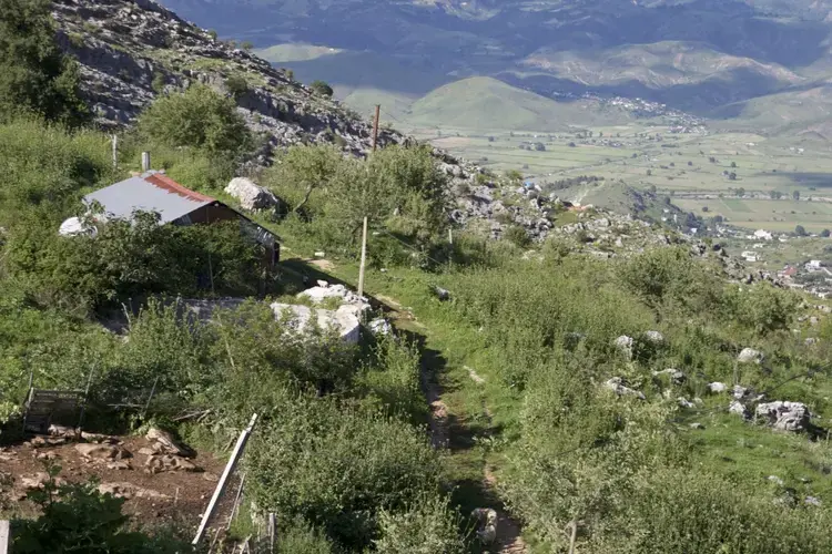 For more than a decade, Lazarat’s residents grew massive amounts of marijuana out in the open. Police say the street value of that pot reached as much as 4.5 billion euros in Western Europe. Image by Nate Tabak. Albania.