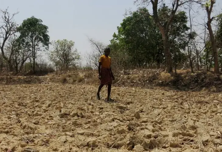 Chhattisgarh, India. June 2019. Image by Chitrangada Choudhury.