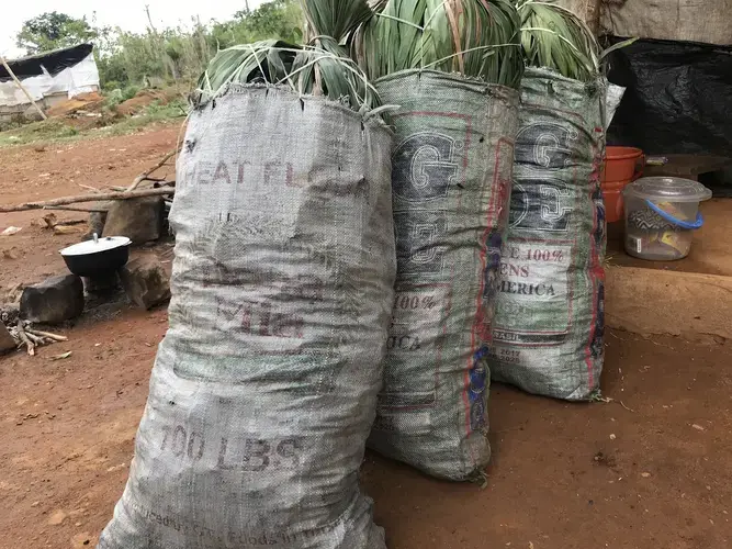 A vendor's wares: almost 300 pounds of charcoal. Image by Kadia Goba. Sierra Leone, 2018.