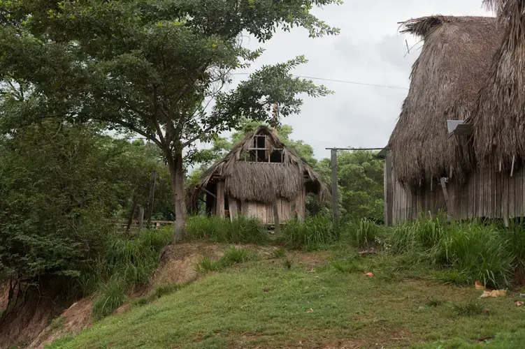 Throughout Bolivia’s vast Amazon Basin, rural villages have been transformed by the arrival of the paiche, which now provides a source of income throughout the year. Image by Felipe Luna. Bolivia, 2018.