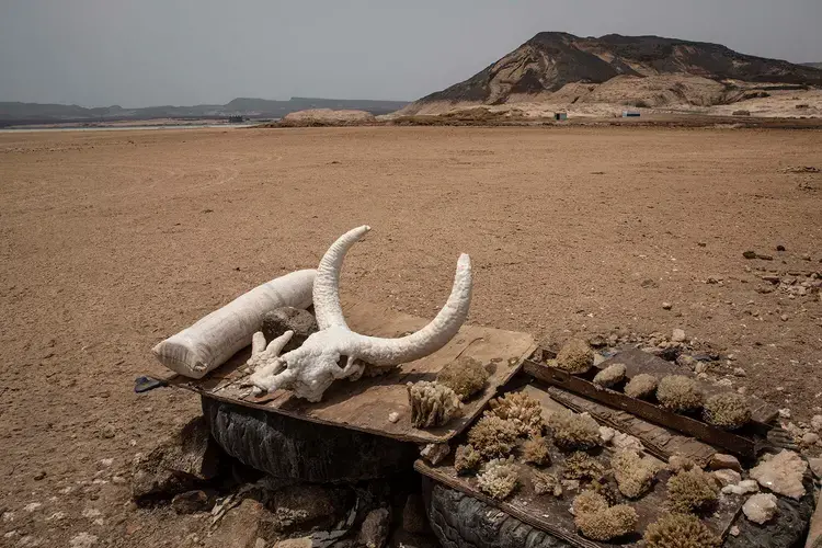 This July 14, 2019 photo shows a bull skull made out of salt for sale at Lac Assal, where African migrants cross to continue their journey on foot, in Djibouti. Image by Nariman El-Mofty / AP Photo. Djibouti, 2019.
