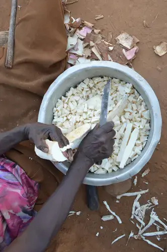 Joyce Nankwanga cutting cassava, her source of livelihood. Image by Annika McGinnis. Uganda, 2019.