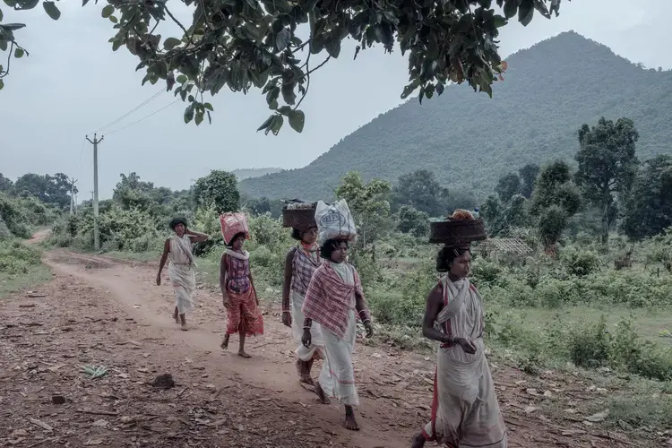 Dongria women returning from the market at the foot of the Niyamgiri hills. Image by Arko Datto. India, 2018.