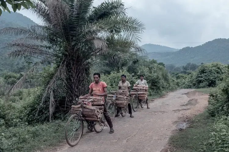 Wood gatherers take their goods to the market. Image by Arko Datto. India, 2018.