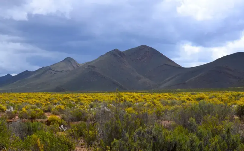 The government has reopened debate on fracking in the semi-arid Karoo. Image by Mark Olalde. South Africa, 2017.