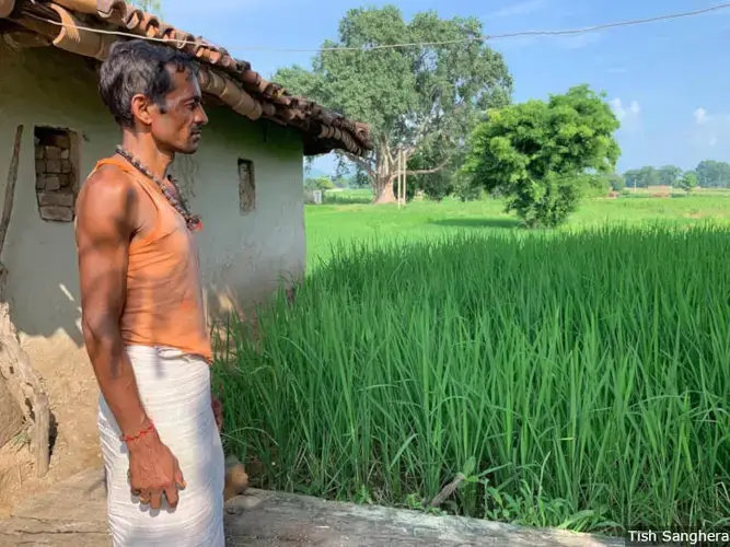 Kripanath Yadav, a farmer from Singrauli district in Madhya Pradesh, says his crop yield has declined by nearly 75% since 2012 when the Essar Mahan power plant commenced operations. Image by Tish Sanghera. India, 2019.