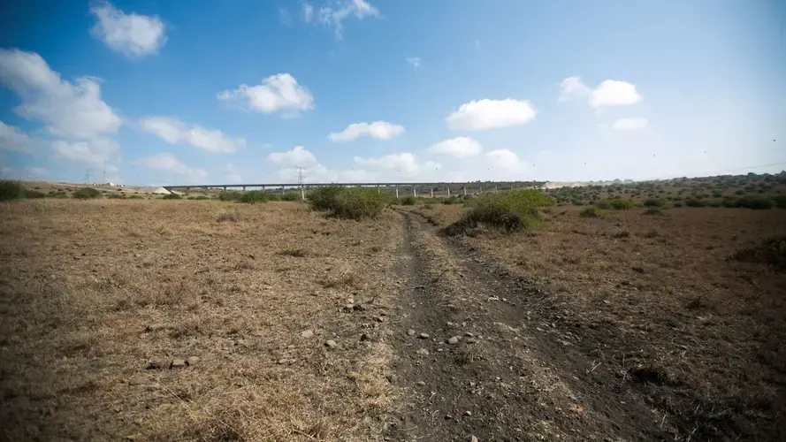 The Chinese-funded railway in Kenya from Nairobi to Mombasa cuts through part of the Nairobi National Park. Image by Noah Fowler. Kenya, 2017. 