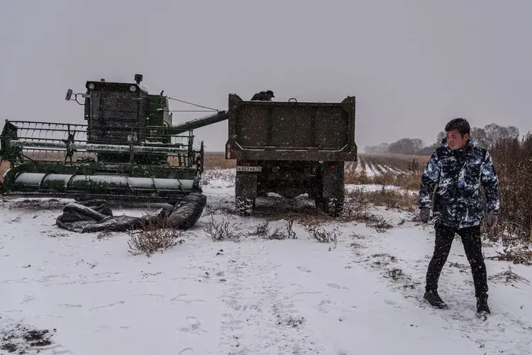 Jewish Autonomous Region. A Chinese entrepreneur and farmer named Dima on his land. Image by Sergey Ponomarev. Russia, 2020.</p>
<p>