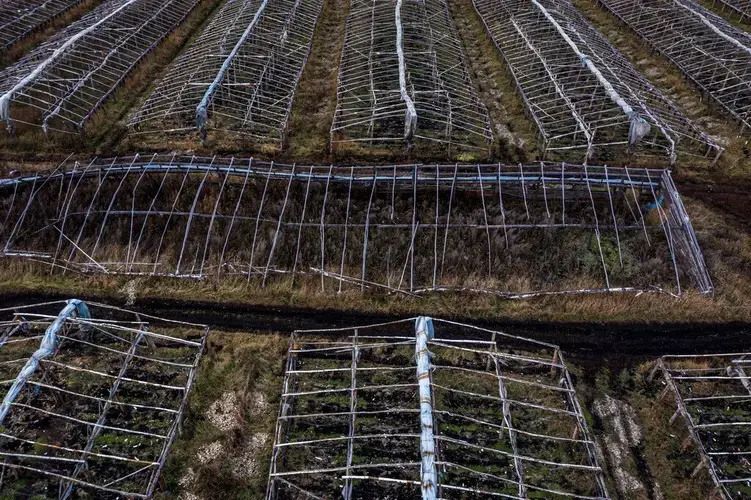 Ekaterinburg, Russia. Greenhouses lying dormant. Many Chinese laborers returned home this year amid the Covid-19 pandemic. Image by Sergey Ponomarev. Russia, 2020.</p>
<p>