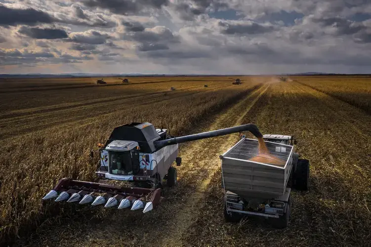 Outside Vladivostok, Russia. Corn harvesters of the corporate farming company Rusagro. Image by Sergey Ponomarev. Russia, 2020.</p>
<p>