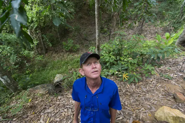 José Luis Machado, a housekeeper at Fazenda Macacos, looks upward into the trees where a group of eight to 10 monkeys had been permanent residents. Dead monkeys began appearing on the property in Itapina on the last day of 2016. “They would fall down from the tree and die on the (forest) floor,” Machado said. Image by Mark Hoffman. Brazil, 2017.