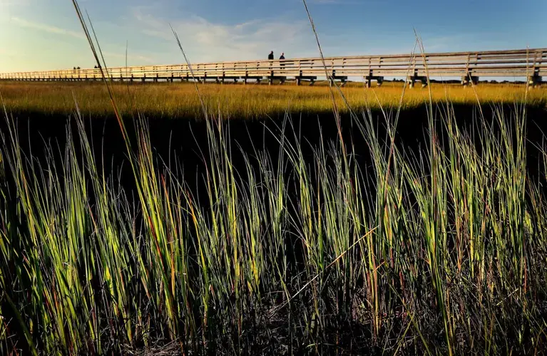 The salt marsh at Grays Beach in Yarmouthport. Image by John Tlumacki. United States, 2019.