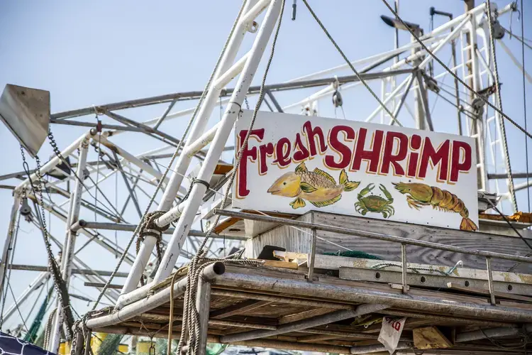 Image by Eric J. Shelton for Mississippi Today. United States, 2019.