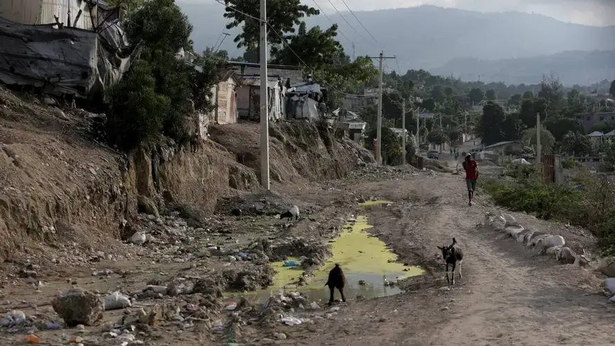 Goats wander along a makeshift dirt road that passes by the Teren Toto camp on the border of the cities of Tabarre and Delmas in Haiti. Image by Jose A. Iglesias. Haiti, 2019.