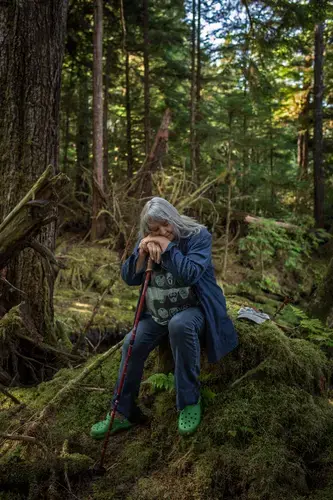 Artist and Ketchikan Native Mary Henrikson has developed a theory around 'Firetrees,' large trees that have been hollowed out by fire. These trees survived much longer than others, and are often surrounded by cultural objects. After much research, Henrikson believes these trees were used to keep dry charcoal, and may have had other uses, at important sites throughout southeast Alaska. This area has some of the heaviest annual rainfall in the world, and continuous access to dry coal would have been of primary importance. Image by Joshua Cogan. United States, 2019.