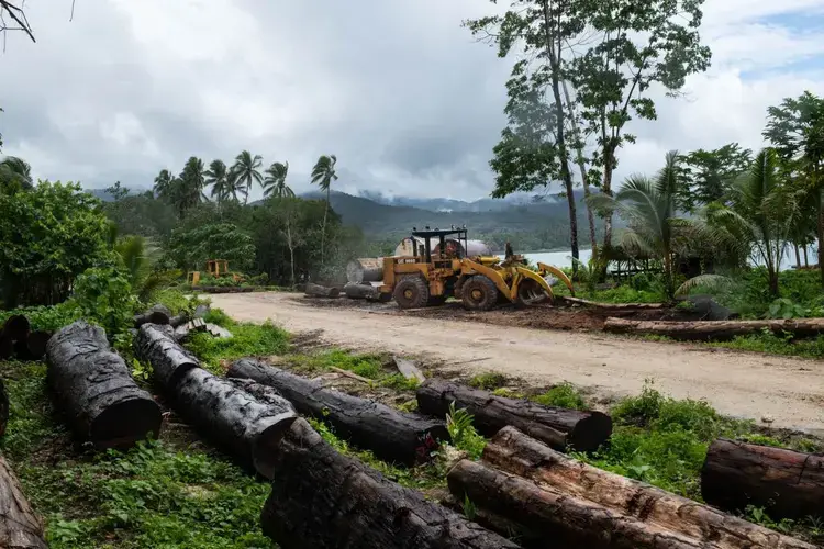 A logging point outside of Igwa village on the island of Malaita, Solomon Islands, September 19, 2019. Image by Thomson Reuters Foundation/Monique Jaques. Solomon Islands, 2020.