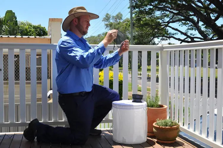 In Australia, a Queensland scientist monitors Wolbachia-infected mosquitoes that can block dengue and other viruses including Zika. Image courtesy Eliminate Dengue Townsville.