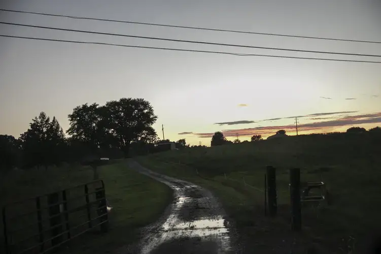 The sun sets over a field outside of Anna, Ill. Image by Wong Maye-E/AP Photo. United States, 2020.