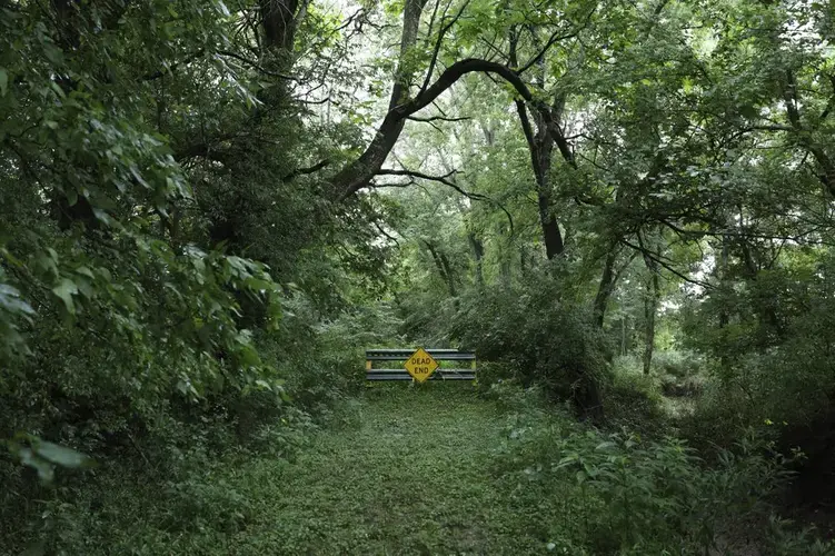 A 'Dead End' sign is posted on the far end of 7th Street in Vienna, Ill. There was a small collection of houses along 7th Street, near where the outer edges of Vienna bumps up against Little Cache Creek. Image by Wong Maye-E/AP Photo. United States, 2020.