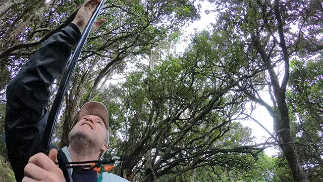 Chris Farmer of American Bird Conservancy sets up a net. Image by Nathan Eagle. United States, 2019.