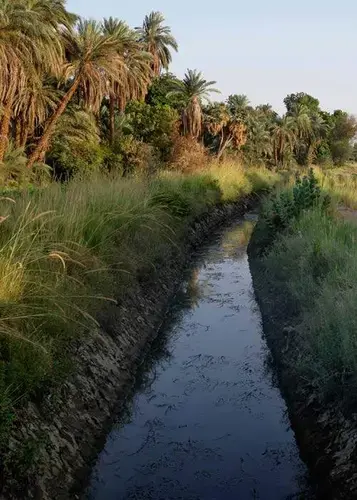 Image by Leyland Cecco. Sudan.