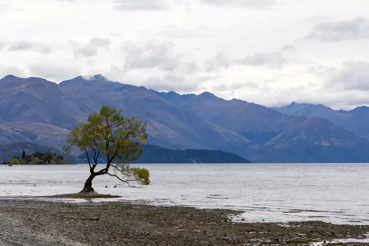 nz250315_lake_wanaka_01.jpg